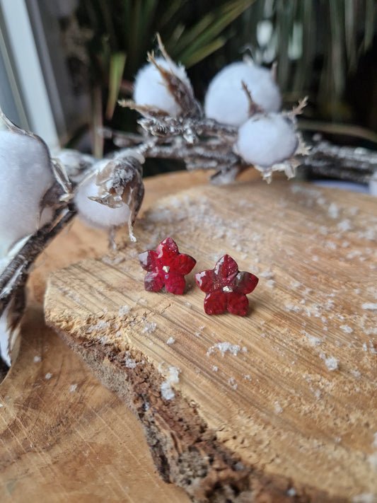 Puces "Fleurs de Noël"